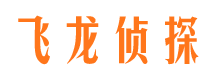 康乐侦探公司